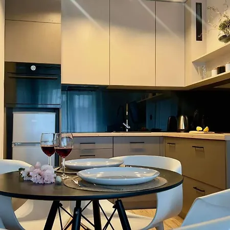 Central Apartaments Katowice カトヴィツェ